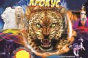 Цирк - Шапито Крокус "Леопарды Африки"