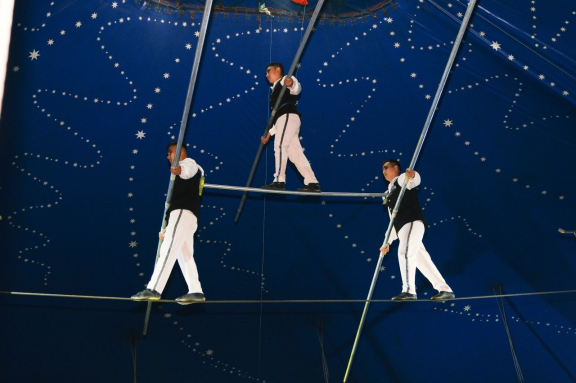 Цирковое представление: Новогодняя Феерия
