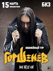 Проект Горшенев