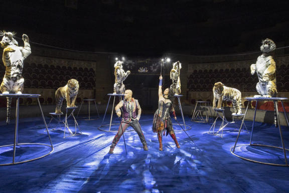 Цирковое представление: Новогодняя Феерия