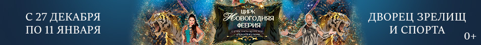 Цирковое представление: Новогодняя Феерия