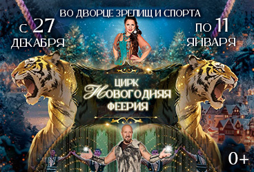 Цирковое представление: Новогодняя Феерия