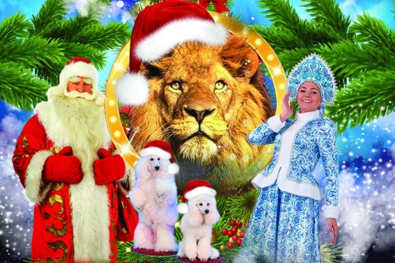 &TScy;&icy;&rcy;&kcy;&ocy;&vcy;&acy;&yacy; &iocy;&lcy;&kcy;&acy; &vcy; &Tcy;&ocy;&mcy;&scy;&kcy;&iecy;