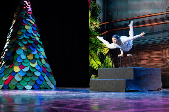 Новогоднее семейное шоу "Заветное желание"