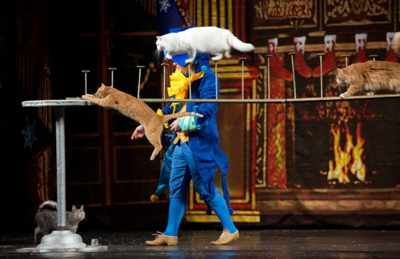 &Mcy;&ocy;&scy;&kcy;&ocy;&vcy;&scy;&kcy;&icy;&jcy; &tcy;&iecy;&acy;&tcy;&rcy; &kcy;&ocy;&shcy;&iecy;&kcy; &Vcy;&period; &Kcy;&ucy;&kcy;&lcy;&acy;&chcy;&iecy;&vcy;&acy; &laquo;&SHCHcy;&iecy;&lcy;&kcy;&ucy;&ncy;&chcy;&icy;&kcy; &icy; &Kcy;&ocy;&shcy;&kcy;&icy;&raquo;