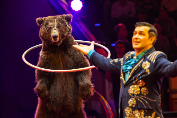 &Lcy;&iecy;&gcy;&iecy;&ncy;&dcy;&acy;&rcy;&ncy;&ycy;&jcy; &tscy;&icy;&rcy;&kcy; &YUcy;&rcy;&icy;&yacy; &Ncy;&icy;&kcy;&ucy;&lcy;&icy;&ncy;&acy;&period; &Vcy;&ocy;&dcy;&ncy;&acy;&yacy; &Fcy;&iecy;&iecy;&rcy;&icy;&yacy;