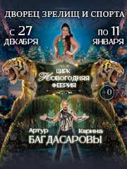 Цирковое представление: Новогодняя Феерия