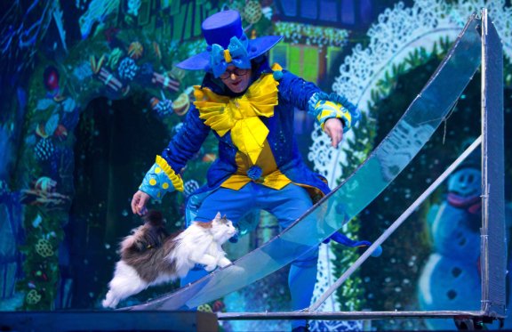 &Mcy;&ocy;&scy;&kcy;&ocy;&vcy;&scy;&kcy;&icy;&jcy; &tcy;&iecy;&acy;&tcy;&rcy; &kcy;&ocy;&shcy;&iecy;&kcy; &Vcy;&period; &Kcy;&ucy;&kcy;&lcy;&acy;&chcy;&iecy;&vcy;&acy; &laquo;&SHCHcy;&iecy;&lcy;&kcy;&ucy;&ncy;&chcy;&icy;&kcy; &icy; &Kcy;&ocy;&shcy;&kcy;&icy;&raquo;