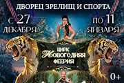 Цирковое представление: Новогодняя Феерия