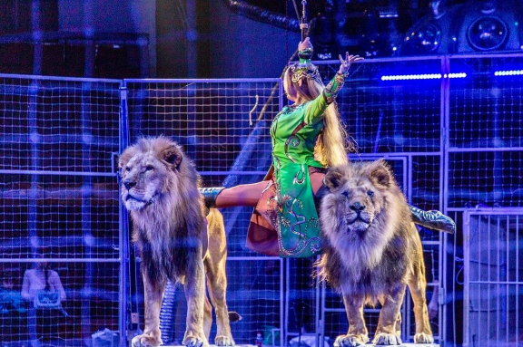 &TScy;&icy;&rcy;&kcy; "&Acy;&kcy;&tcy;&icy;&ocy;&ncy;" &gcy;&period; &Tcy;&ocy;&mcy;&scy;&kcy;