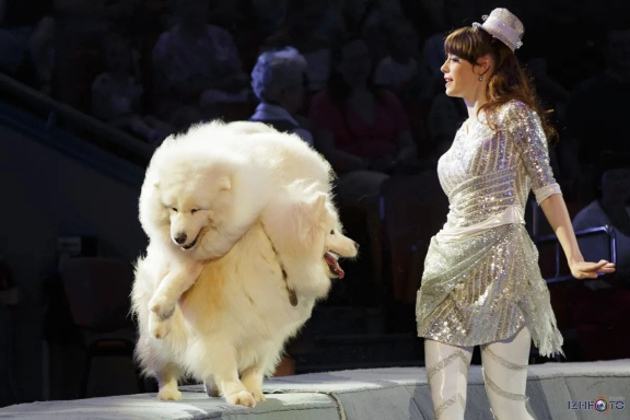 &Lcy;&iecy;&gcy;&iecy;&ncy;&dcy;&acy;&rcy;&ncy;&ycy;&jcy; &tscy;&icy;&rcy;&kcy; &YUcy;&rcy;&icy;&yacy; &Ncy;&icy;&kcy;&ucy;&lcy;&icy;&ncy;&acy;&period; &Vcy;&ocy;&dcy;&ncy;&acy;&yacy; &Fcy;&iecy;&iecy;&rcy;&icy;&yacy;